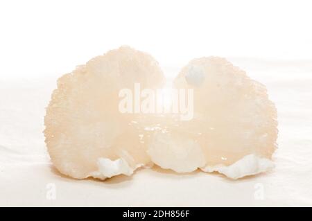 Un grande campione di stilbite con calcio e pirite Foto Stock