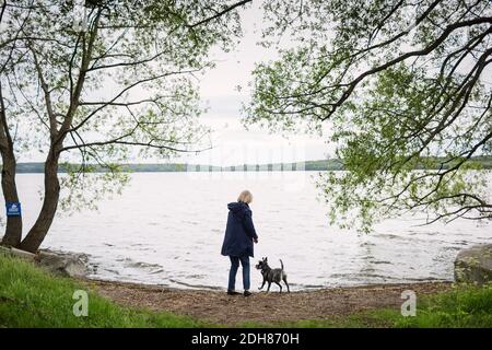 Vista posteriore della donna anziana in piedi con il cane a Lakeshore Foto Stock