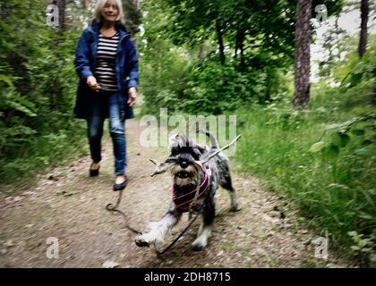 Donna anziana che cammina con il cane che corre sul sentiero tra le piante Foto Stock