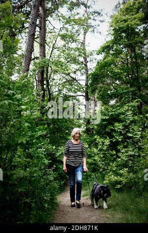 Donna anziana che cammina con il cane sul sentiero tra gli alberi Foto Stock