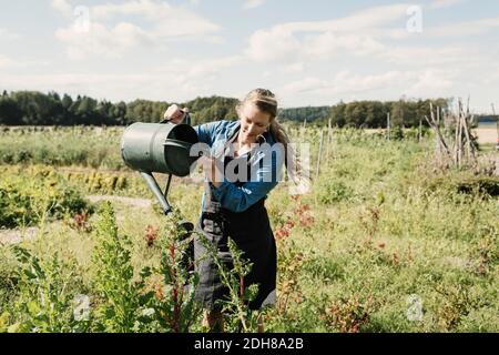 Femmina coltivatore annaffiatura piante in azienda Foto Stock