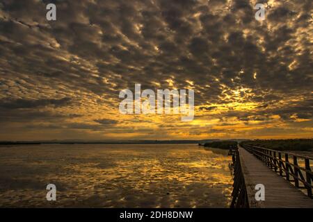 Sonnenaufgang, Federsee, Bad Buchau Foto Stock