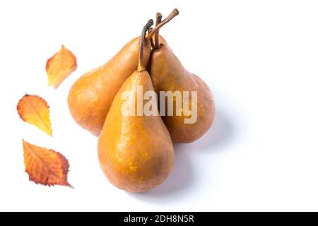 Pere gialle autunnali con foglie isolate su un bianco, con spazio di copia. Foto Stock