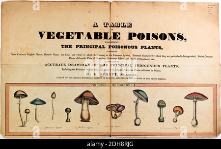 Una tavola di veleni vegetali, che espone le principali piante velenose comprendenti il loro nome inglese comune, il nome botanico, la classe e l'ordine a cui appartengono nel sistema linneo, carattere essenziale per cui sono particolarmente distinti, paese natale, luoghi di crescita, tempo di fioritura, effetti velenosi e modalità di trattamento, &c.. ; illustrato da disegni precisi delle principali piante indigene, compresi i funghi velenosi, e alcune delle piante velenose esotiche coltivate in Gran Bretagna da G. Spratt pubblicato a Londra nel 1843 Foto Stock