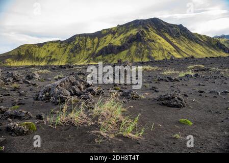 Maestoso paesaggio vulcanico coperto di muschio negli altopiani dell'Islanda Foto Stock