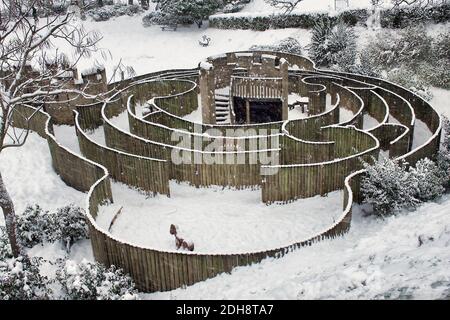 Labirinto per bambini nella neve, Dane John Gardens Canterbury Kent Foto Stock