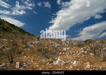 Paesaggio di area selvaggia vicino Podgorje, Bosnia ed Erzegovina Foto Stock