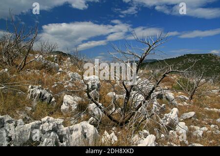 Paesaggio di area selvaggia vicino Podgorje, Bosnia ed Erzegovina Foto Stock