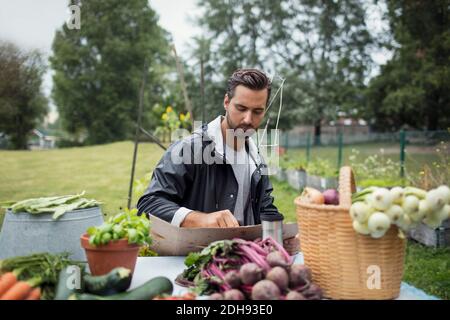 Uomo medio adulto che scrive su cartone mentre si siede da fresco verdure raccolte in giardino urbano Foto Stock