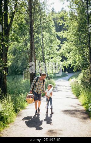 Figlia che parla con il padre che tiene il cestino del picnic sulla strada dentro foresta Foto Stock
