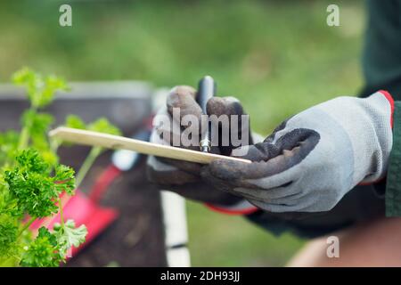 Immagine ritagliata di donna che scrive etichetta per pianta in urbano giardino Foto Stock