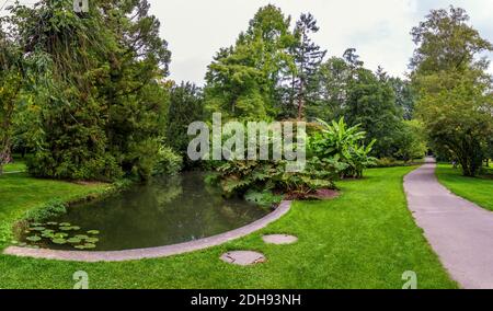 Vedi im Park von Hohenheim, Stoccarda Foto Stock