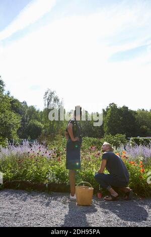 Fioristi maschili e femminili da piante in cortile Foto Stock