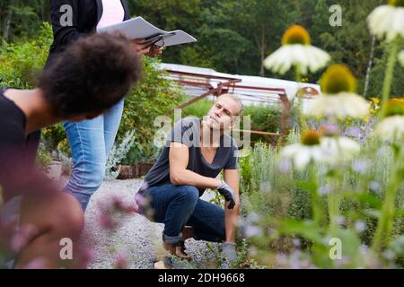 Architetti del giardino che lavorano insieme nel cortile Foto Stock