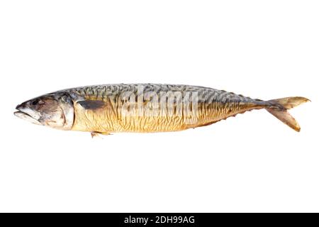 Un pesce affumicato isolato su sfondo bianco Foto Stock