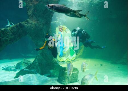 Madrid, Spagna. 10 dicembre 2020. Due subacquei collocano parte della tradizionale Presepe di Natale sott'acqua all'interno dell'acquario dello Zoo di Madrid. Credit: Marcos del Mazo/Alamy Live News Foto Stock