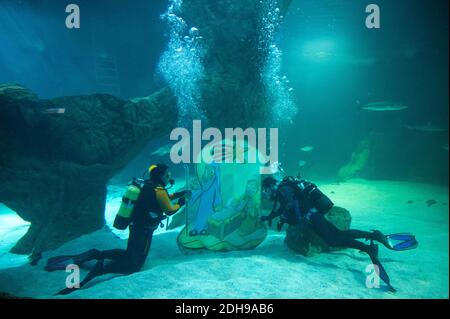 Madrid, Spagna. 10 dicembre 2020. Due subacquei collocano parte della tradizionale Presepe di Natale sott'acqua all'interno dell'acquario dello Zoo di Madrid. Credit: Marcos del Mazo/Alamy Live News Foto Stock