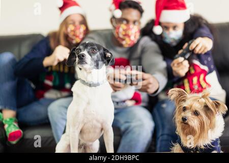 Gente millenaria che si diverte con la console di videogiochi sul tempo di natale. Famiglia che gioca video giochi, i cani guardare la televisione. Natale, animale Foto Stock