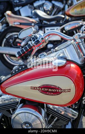 Un gruppo di motociclette Harley Davidson parcheggiate di fila in un rally all'aperto ad Imperia, Liguria, Italia Foto Stock