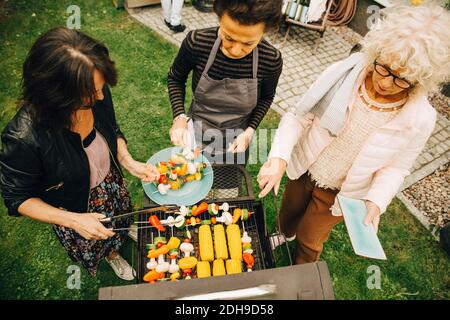 Vista ad alto angolo delle anziane amiche in barbecue cena a. cortile posteriore durante la festa Foto Stock