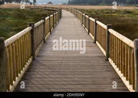 Una lunga passerella in legno che conduce attraverso alte canne dorate e. erba di palude ad un gazebo distante Foto Stock