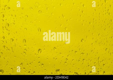 Giallo che illumina il colore panton 2021 fotografia astratta delle gocce d'acqua sul vetro come sfondo. Messa a fuoco selettiva e morbida. Foto Stock