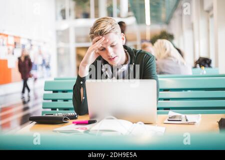Giovane studente di sesso maschile che usa un computer portatile in caffetteria presso l'università Foto Stock
