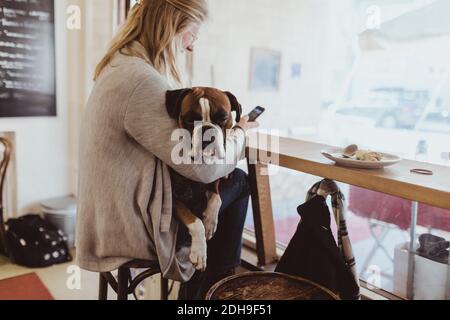 Vista laterale di una giovane donna che utilizza lo smartphone mentre è seduto con il cane al caffè Foto Stock