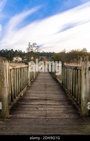 Una vista verticale di una lunga passerella in legno che conduce attraverso alte canne dorate e erba paludosa nelle zone umide Foto Stock