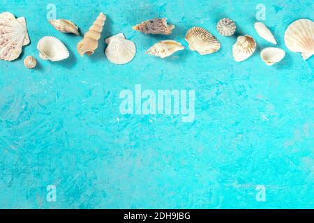 Banner mare con un posto per testo, conchiglie, girato dall'alto su uno sfondo blu Foto Stock