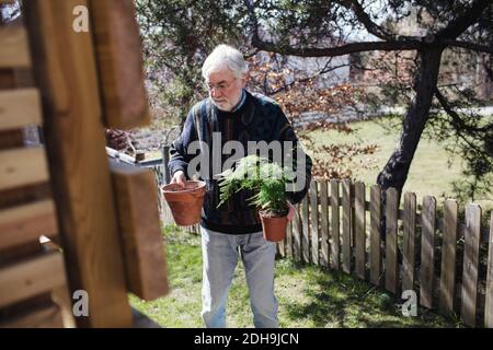 Uomo anziano che tiene le piante in vaso in piedi in cortile sul sole giorno Foto Stock