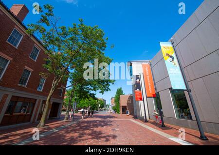 Peabody Essex Museum PEM ingresso principale al 161 Essex Street nel centro storico della città di Salem, Massachusetts, ma, USA. Foto Stock