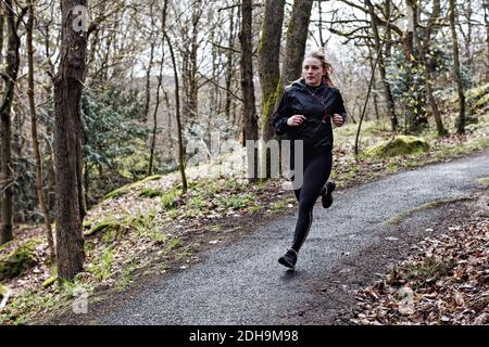Atleta di lunghezza intera determinata che corre su strada stretta dentro foresta Foto Stock