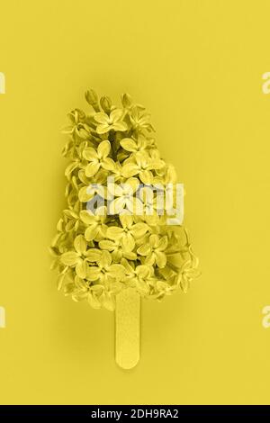 Fiori lilla in trendy 2021 nuovi colori illuminanti giallo. Colore dell'anno 2021. Biglietto d'auguri. Stile minimalista. Spazio per la copia, disposizione piatta. Foto Stock