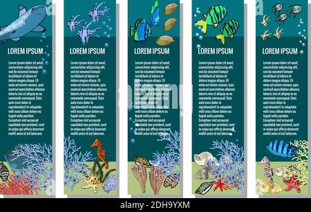Serie vettoriale di striscioni verticali. Creature oceaniche sottomarine. Animali di mare - squalo, pesci tropicali, coralli, cavallucci marini, conchiglie, stelle marine, razze, alga Illustrazione Vettoriale
