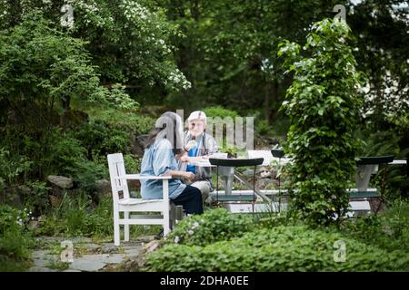 Coppia anziana che pranza al tavolo nel cortile posteriore Foto Stock