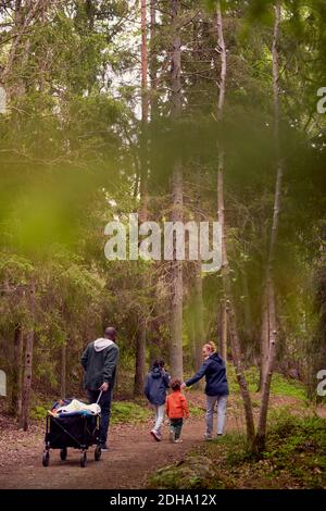 Vista posteriore di uomo che tira il carretto da campeggio mentre camminando con famiglia tra alberi in foresta Foto Stock