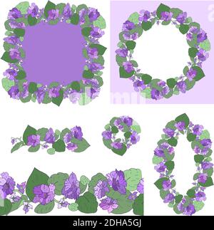 Serie vettoriale di violette africane fiorite con fiori di diverso colori isolati su sfondo bianco Illustrazione Vettoriale