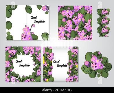Serie vettoriale di violette africane fiorite con fiori di diverso colori isolati su sfondo bianco Illustrazione Vettoriale