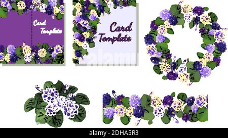 Insieme vettoriale di violette africane fiorite Illustrazione Vettoriale