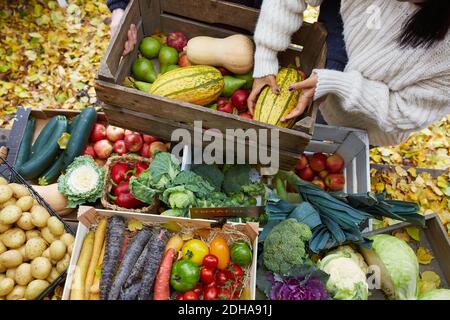 Vista ad angolo alto della donna che dispone la zucca nel cesto a. iarda Foto Stock