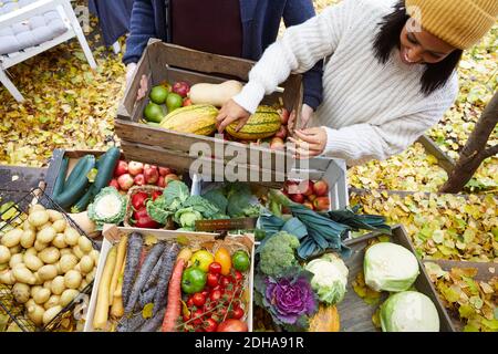 Vista ad alto angolo di una donna sorridente che dispone la zucca nel cesto in cantiere Foto Stock