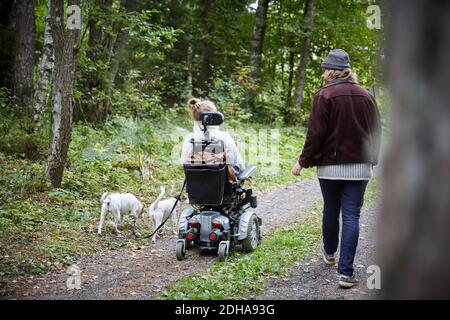 Vista posteriore di giovane custode con donna e cane disabili in foresta Foto Stock