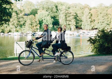 Coppia anziana che si gode giro in tandem in bicicletta vicino al laghetto nel parco Foto Stock