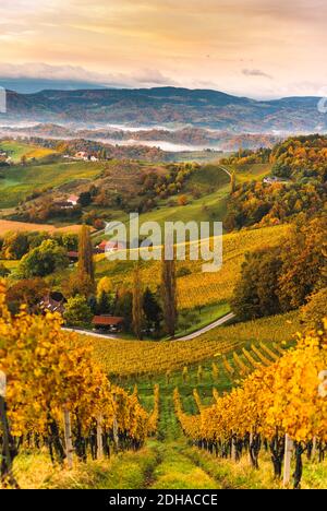 Paesaggio dei vigneti della stiria meridionale, Toscana dell'Austria. Alba in autunno. Foto Stock