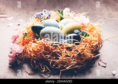 Uova tinte naturalmente fatte in casa. Foto Stock