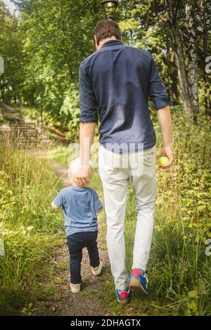 Vista posteriore completa di padre e figlio che camminano in mezzo piante al parco Foto Stock