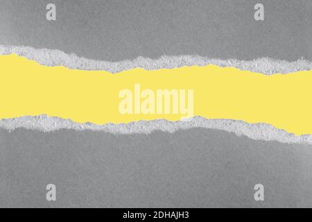 Grigio estremo e giallo luminoso. Carta grigia strappata sul giallo Foto Stock