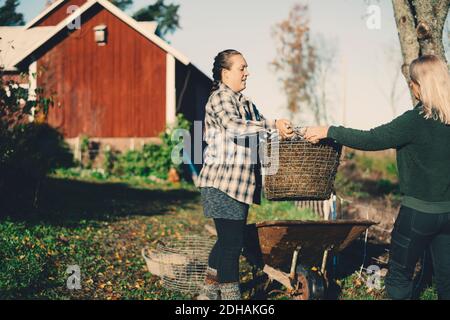 Metà adulta femmina agricoltore che porta cesto pieno di paglia a. amico in azienda agricola biologica Foto Stock