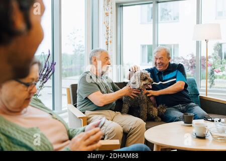 Uomini sorridenti che accarezzano il cane seduto sul divano contro la finestra a casa di cura anziana Foto Stock